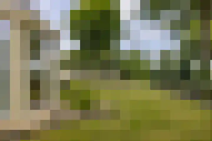 It Oerset 1 Augustinusga thumbnail 10