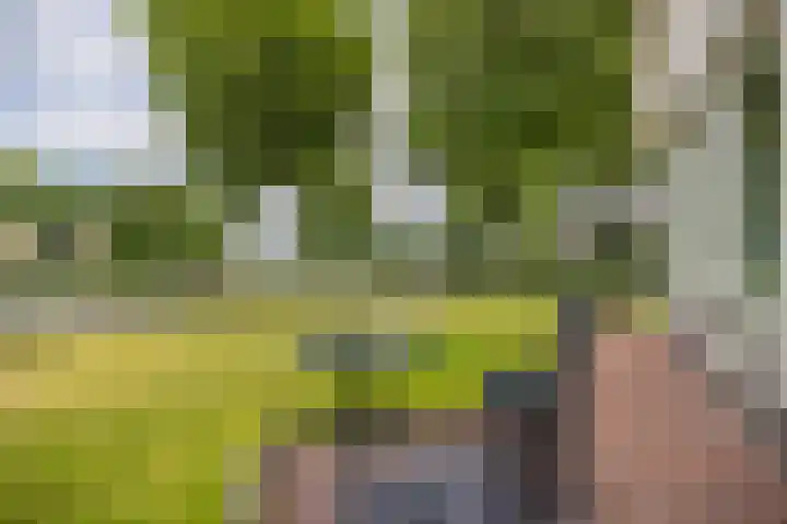 It Oerset 1 Augustinusga thumbnail 12