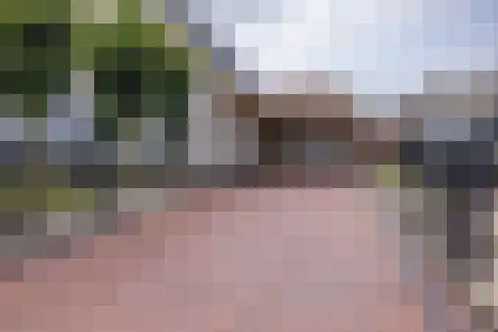 It Oerset 1 Augustinusga thumbnail 14