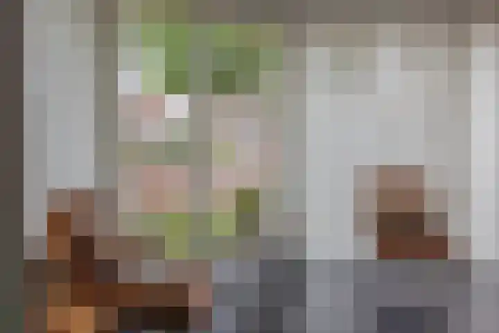 It Oerset 1 Augustinusga thumbnail 26