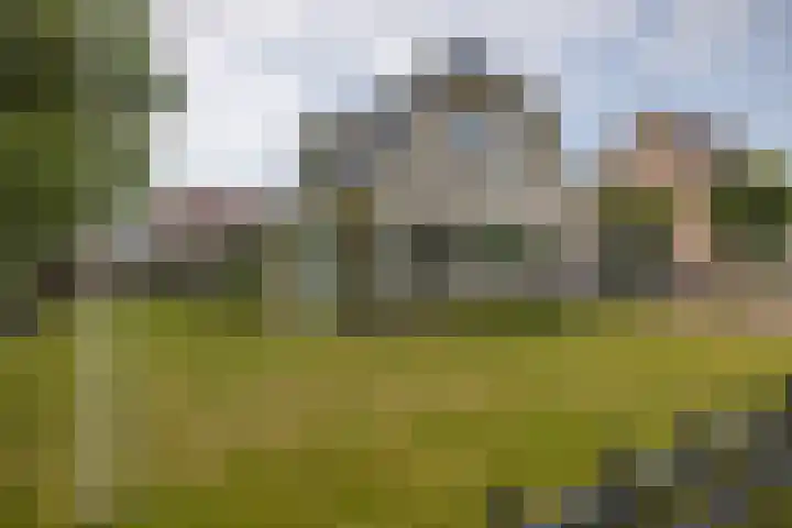 It Oerset 1 Augustinusga thumbnail 4