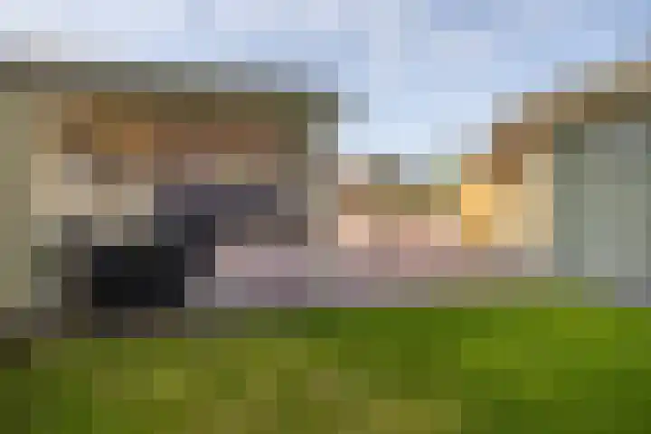 It Oerset 1 Augustinusga thumbnail 51