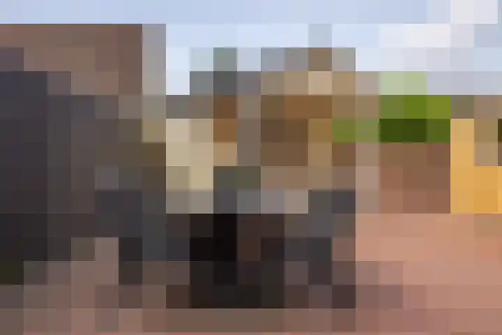 It Oerset 1 Augustinusga thumbnail 54