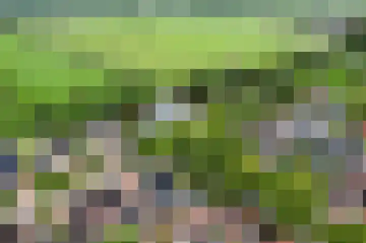 It Oerset 1 Augustinusga thumbnail 61