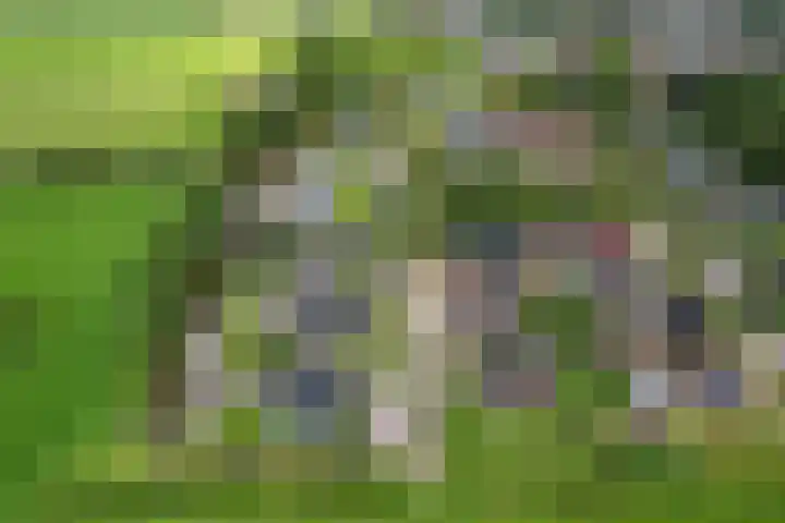 It Oerset 1 Augustinusga thumbnail 63