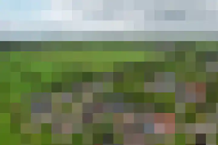 It Oerset 1 Augustinusga thumbnail 65
