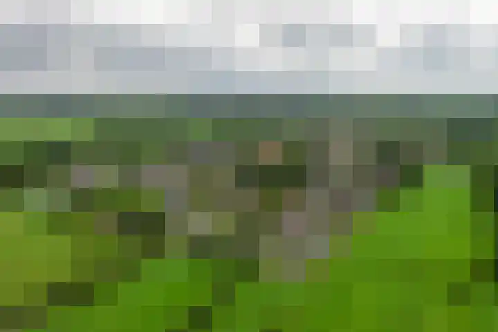 It Oerset 1 Augustinusga thumbnail 67