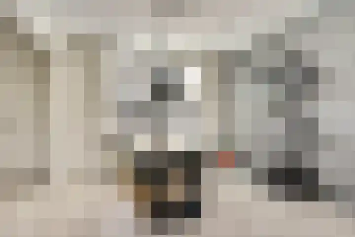 It Roster 1 Ingwierrum thumbnail 8