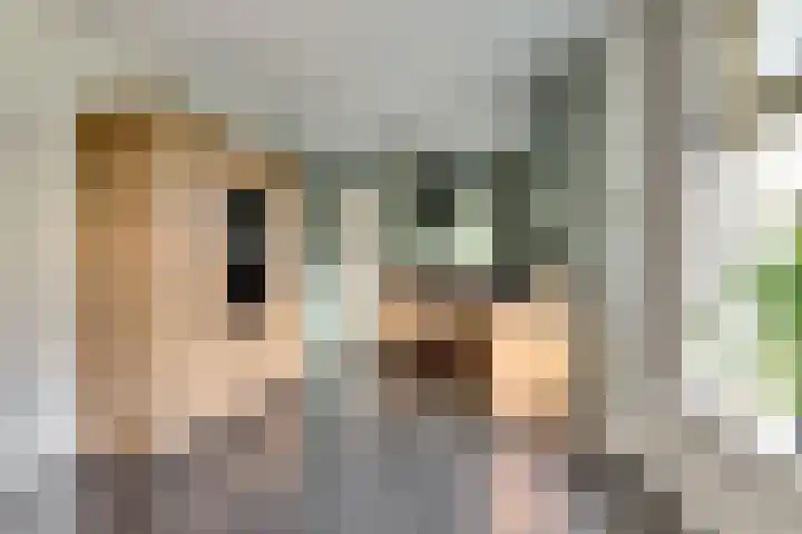 It Stalt 6 Oudega thumbnail 20