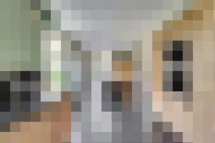 It Stalt 6 Oudega thumbnail 21