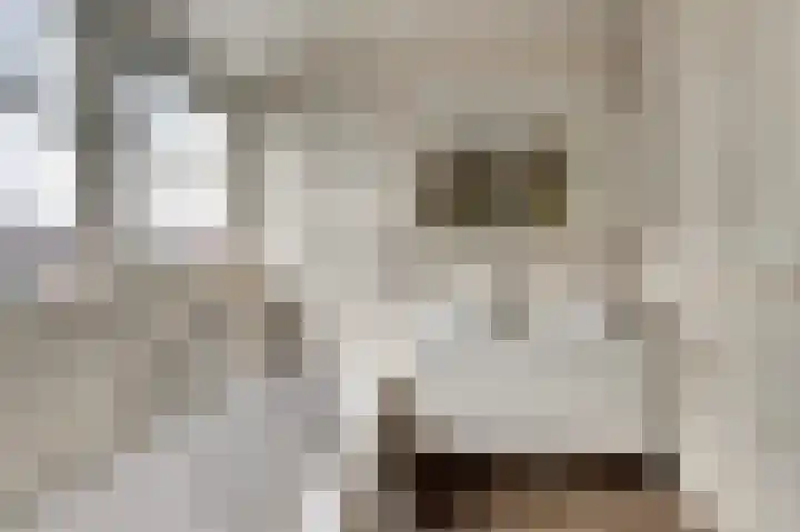 It Stalt 6 Oudega thumbnail 31