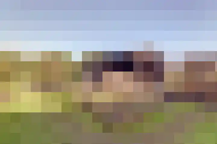 It Stalt 6 Oudega thumbnail 39