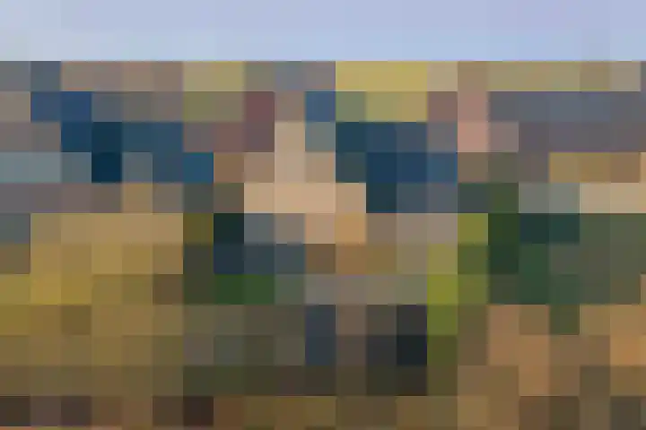 It Stalt 6 Oudega thumbnail 44