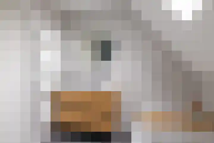 It String 19 Bitgummole thumbnail 37