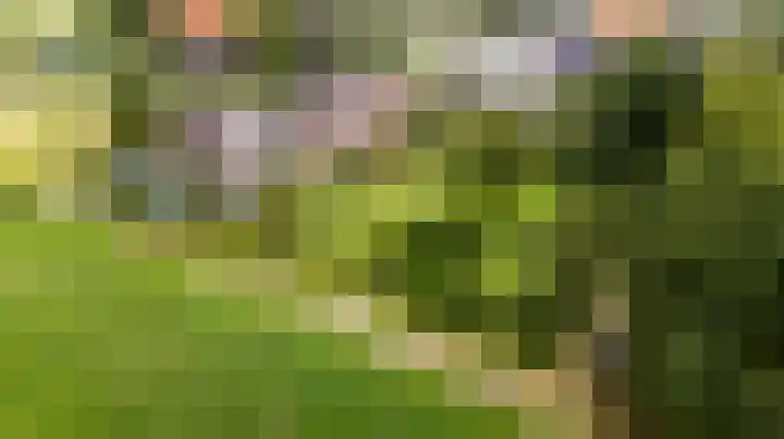 It String 2 in Goingarijp