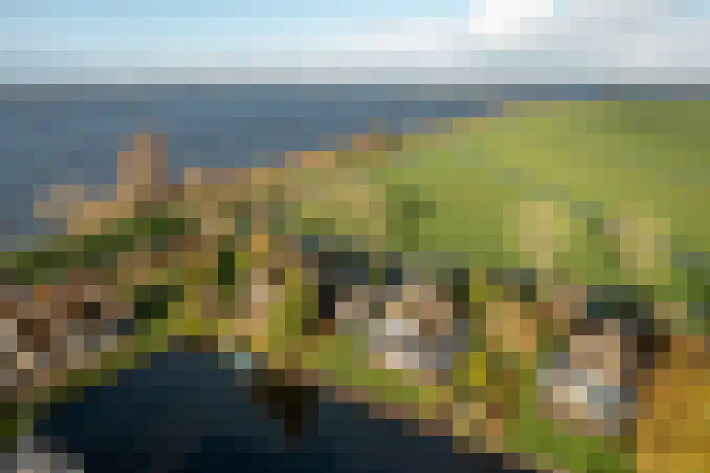 It String 55 Goingarijp foto 2