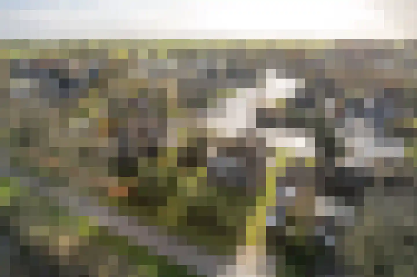 It String 55 Goingarijp thumbnail 25