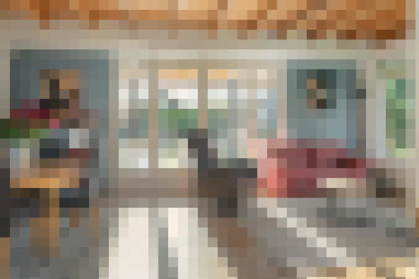 It String 55 Goingarijp foto 3