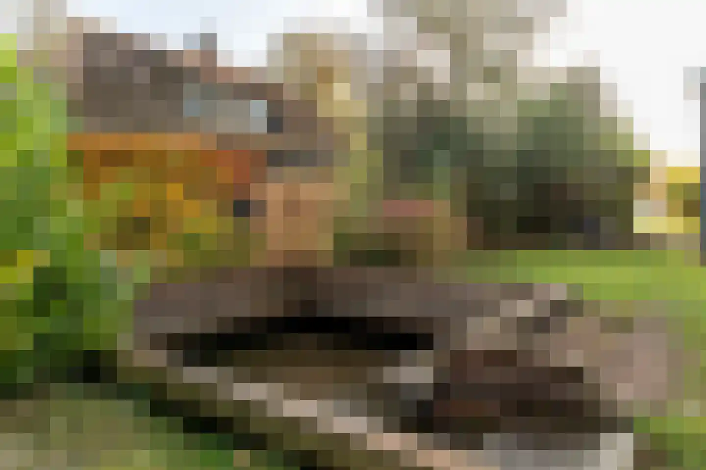 It String 55 Goingarijp thumbnail 31