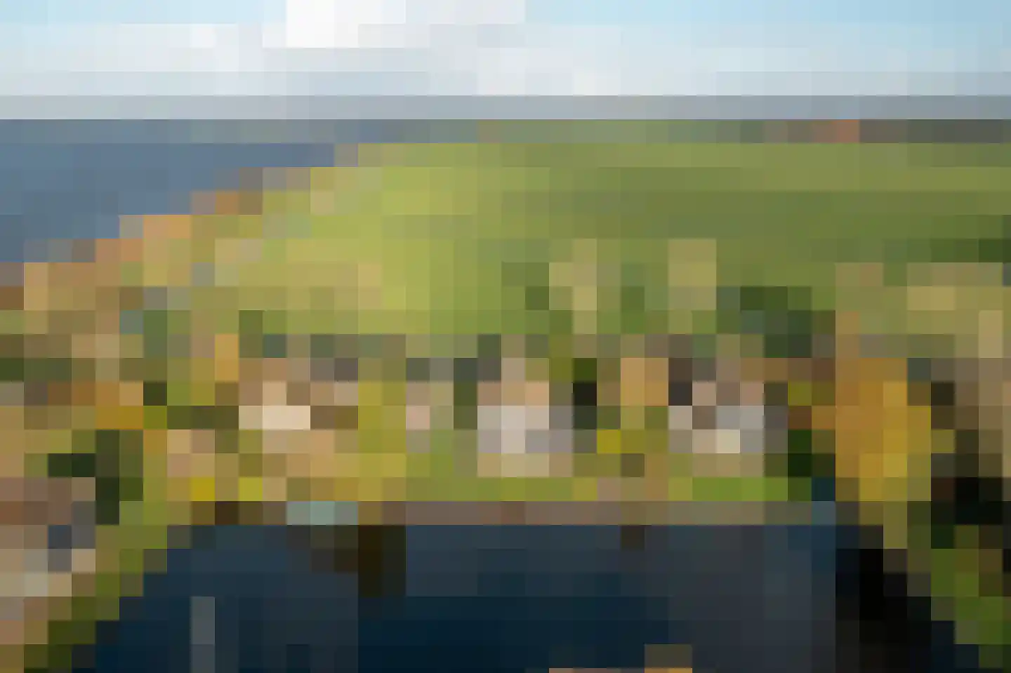 It String 55 Goingarijp thumbnail 35