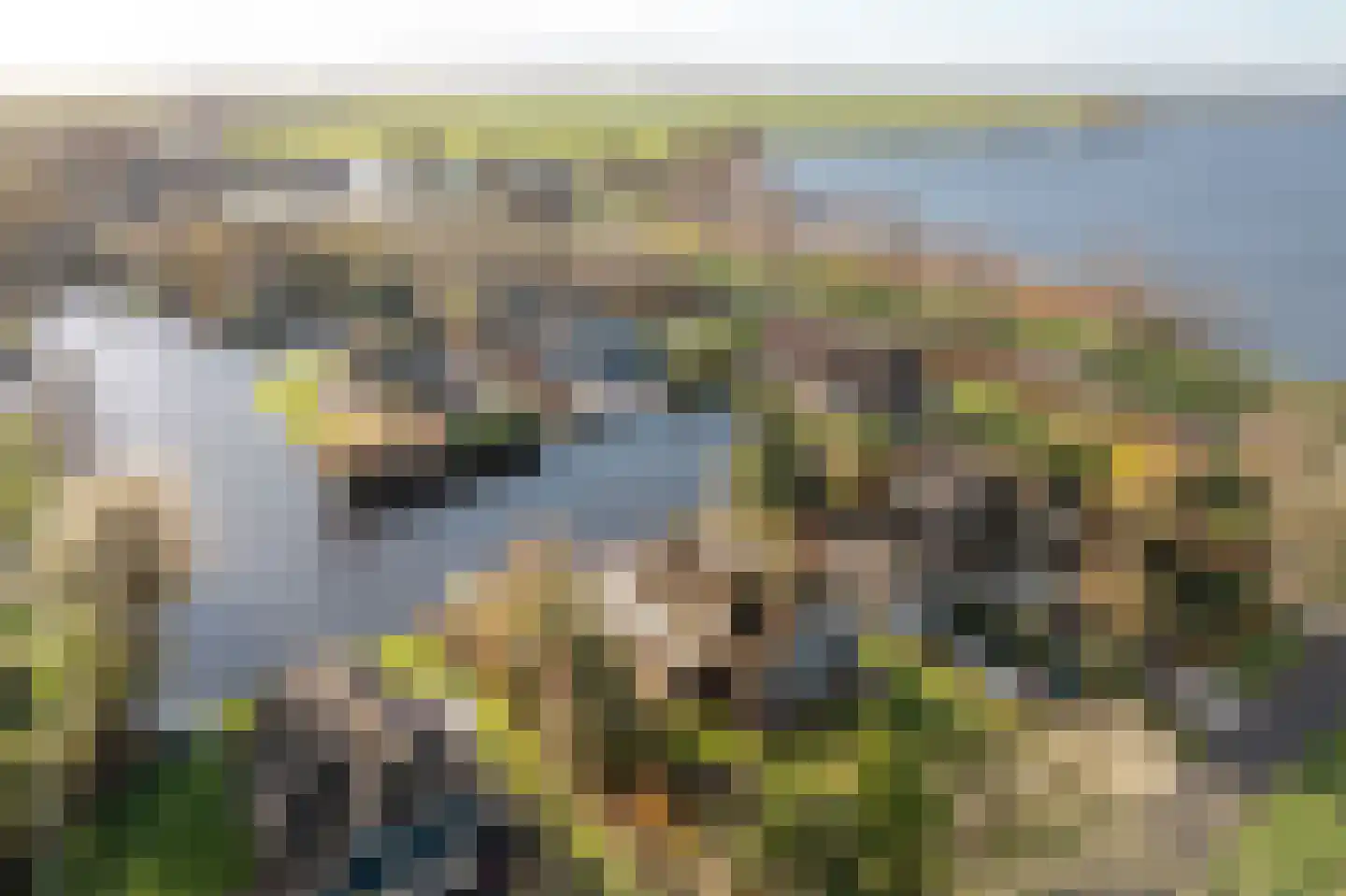 It String 55 Goingarijp thumbnail 36