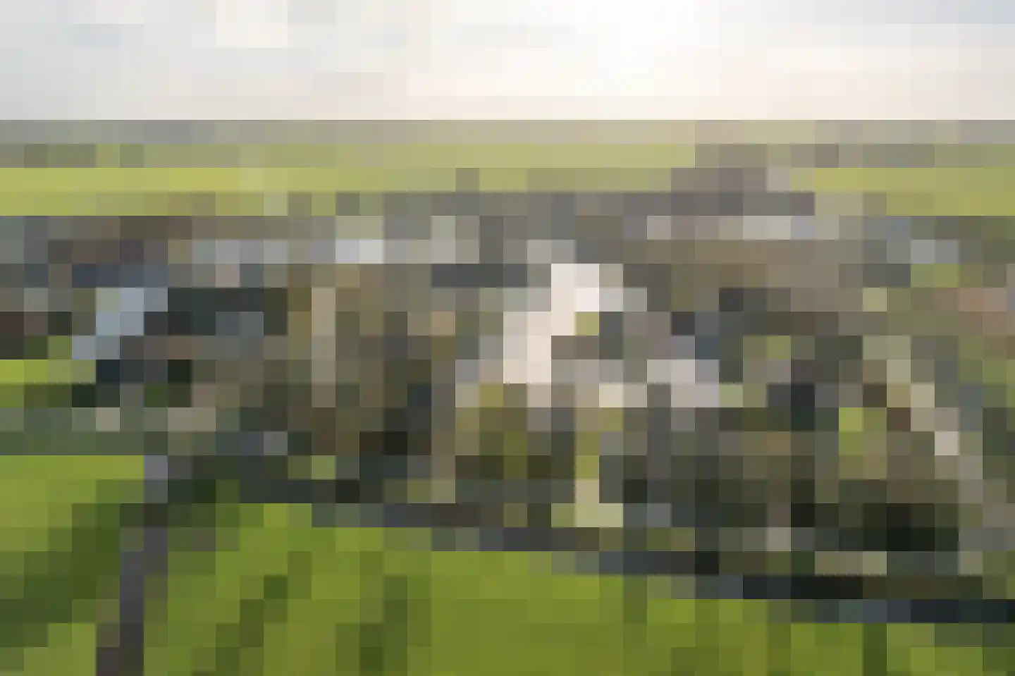 It String 55 Goingarijp thumbnail 37