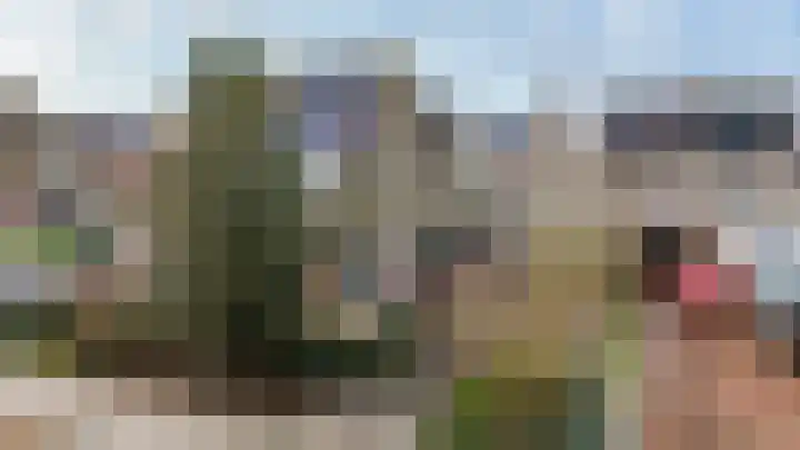 It Swee 11 Nes
