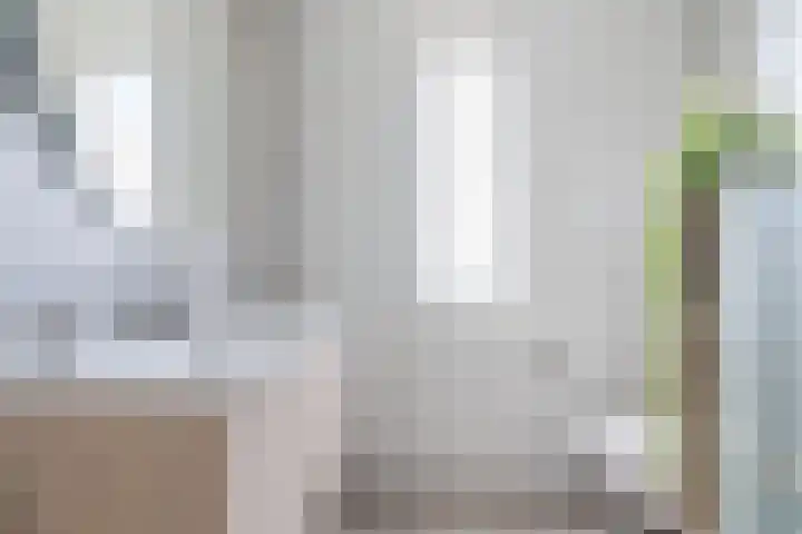 It Swee 11 Nes foto 2