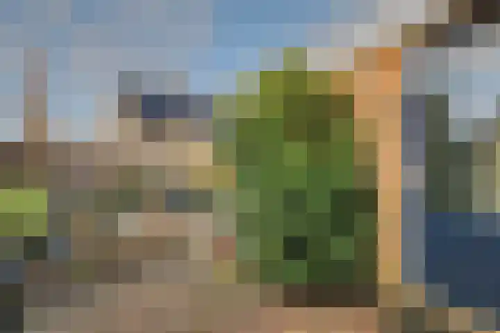 It Swee 11 Nes thumbnail 28