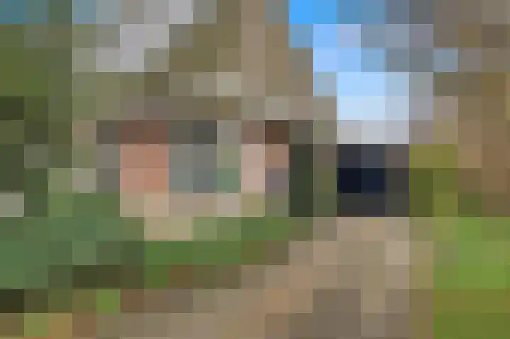 It Swee 11 Nes thumbnail 4