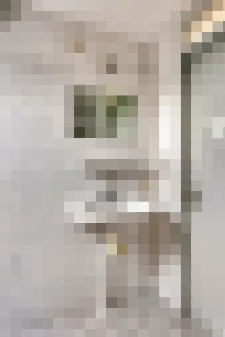 It Sylstring 13 Dronryp thumbnail 22