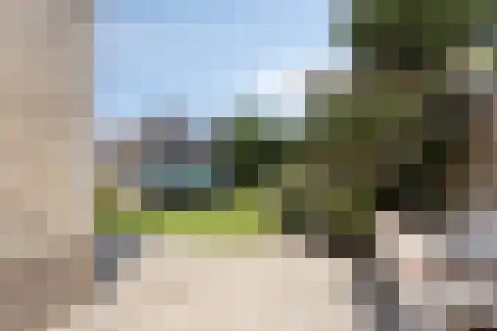 It Sylstring 13 Dronryp thumbnail 25