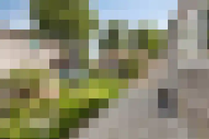 It Sylstring 13 Dronryp thumbnail 29