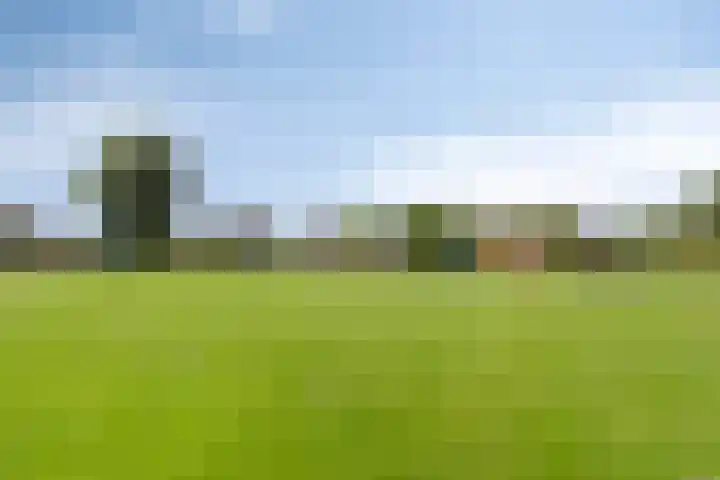 It Sylstring 13 Dronryp thumbnail 30