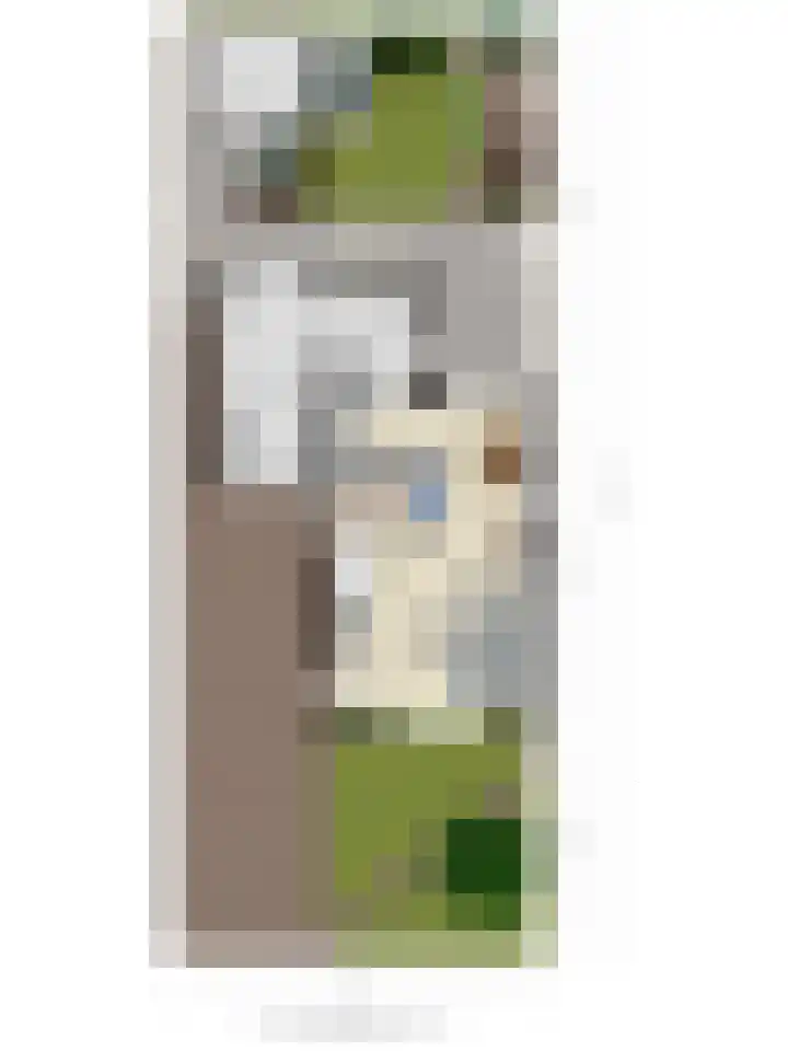 It Sylstring 13 Dronryp thumbnail 32