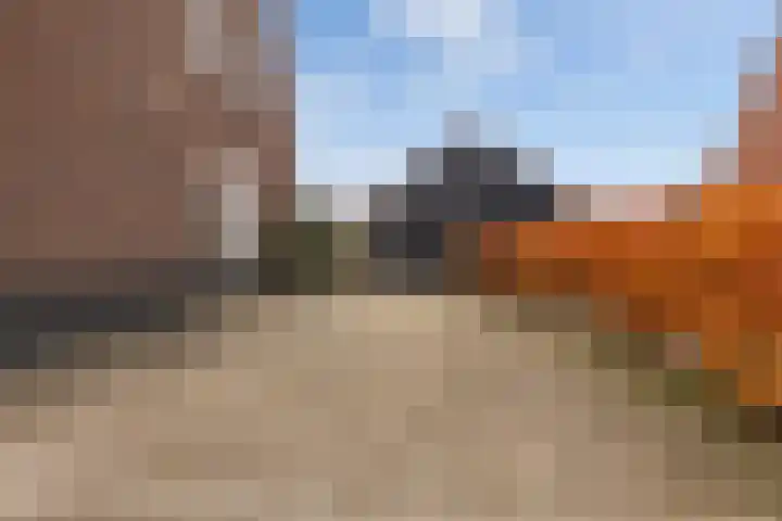 It Uleboerd 83 Leeuwarden thumbnail 6