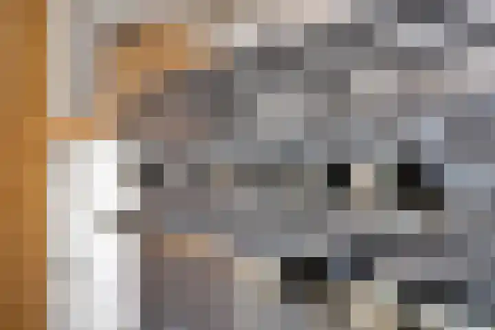 Ithacastraat 8 Eindhoven thumbnail 10