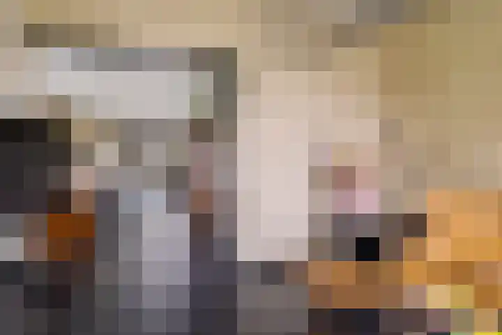 Ithacastraat 8 Eindhoven thumbnail 12