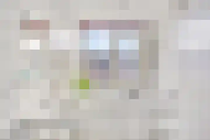 Ithacastraat 8 Eindhoven thumbnail 27