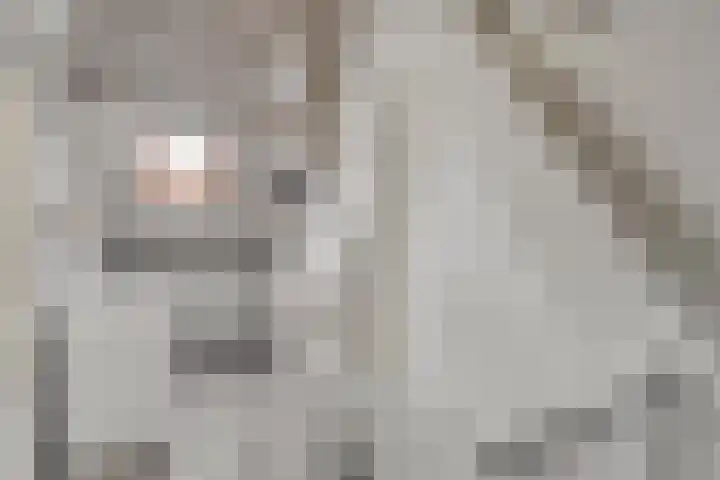 Ithacastraat 8 Eindhoven thumbnail 32