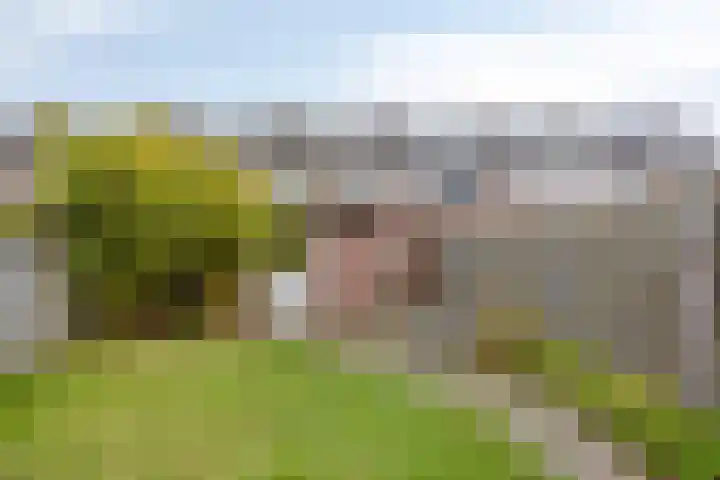 Ithacastraat 8 Eindhoven thumbnail 35