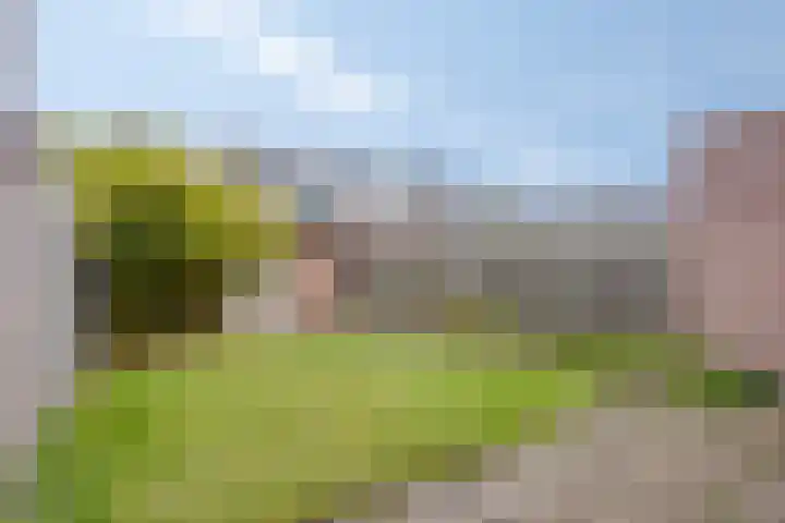 Ithacastraat 8 Eindhoven thumbnail 37