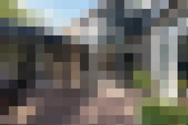 Ithacastraat 8 Eindhoven thumbnail 39