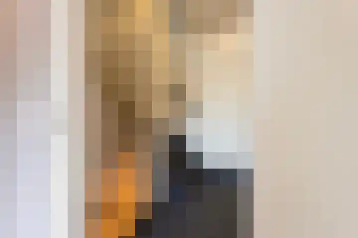 Ithacastraat 8 Eindhoven thumbnail 4