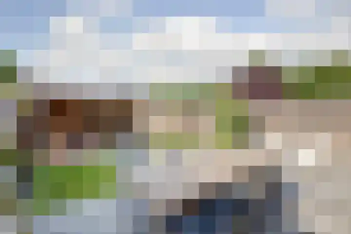 Ithacastraat 8 Eindhoven thumbnail 40