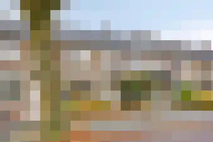 Ithacastraat 8 Eindhoven thumbnail 5