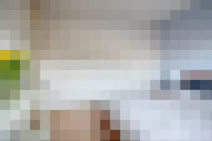 Ithacastraat 8 Eindhoven thumbnail 8