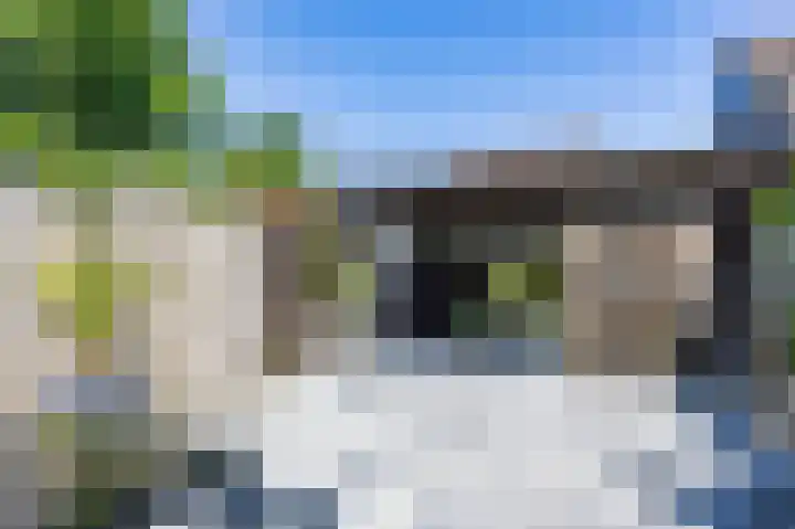 Itskenheerd 3 Marum thumbnail 45