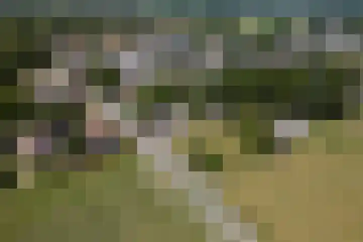 Ittervoorterweg 111 Weert thumbnail 32