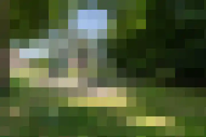 Ittervoorterweg 111 Weert thumbnail 33